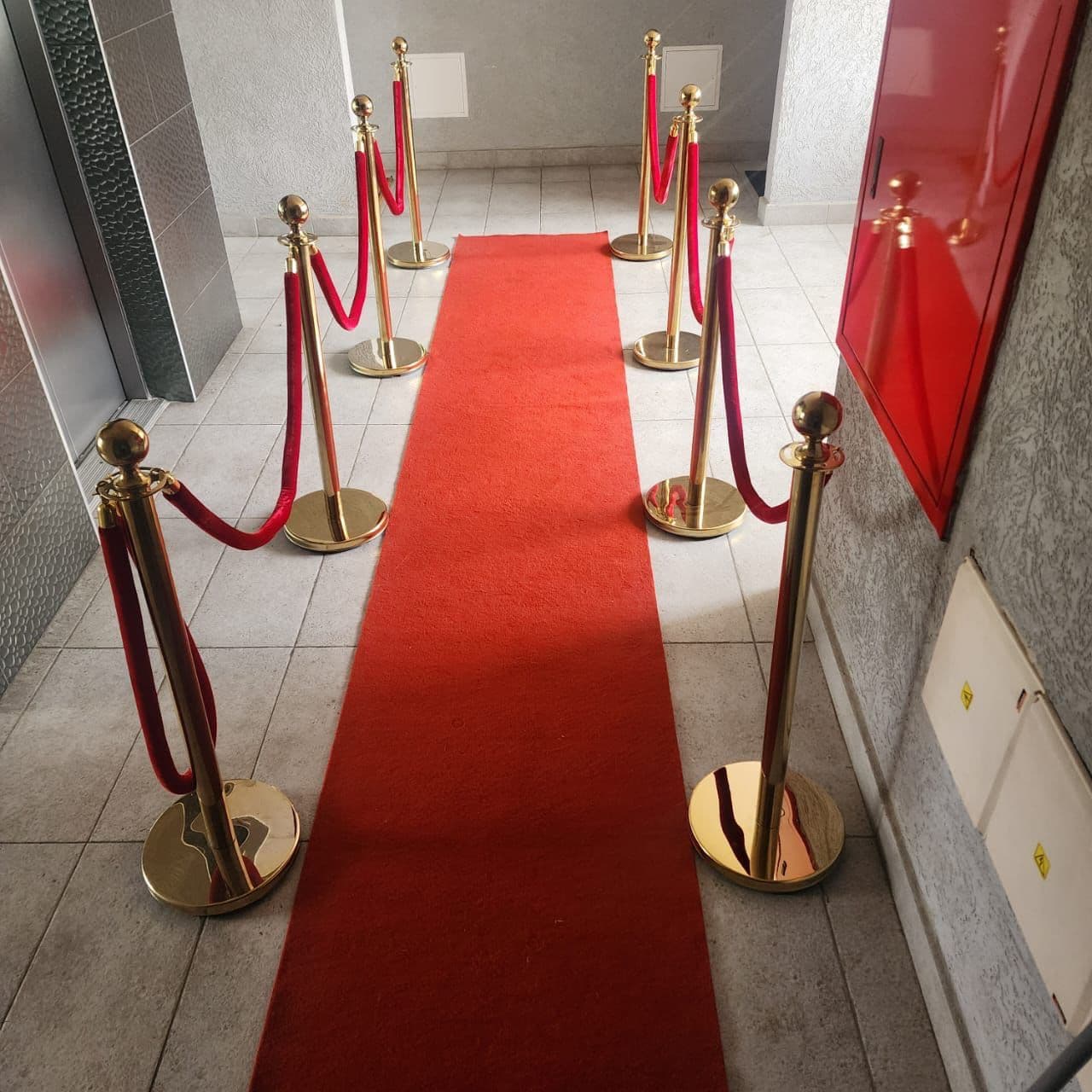 VIP ZONE